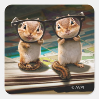 Pegatina Cuadrada Chipmunks en lecturas de gafas
