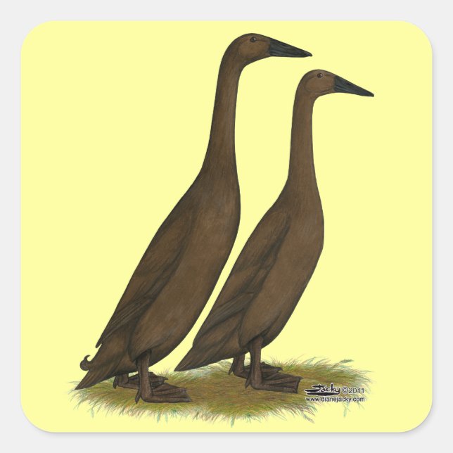 Pegatina Cuadrada Chocolate Runner Ducks (Anverso)
