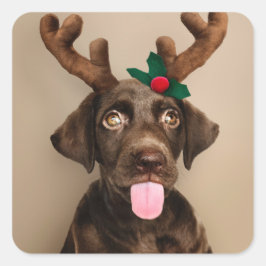 PEGATINA CUADRADA CHRISTMAS STICKERS CHOCOLATE LAB CON CUERNOS REIND
