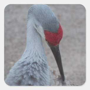 Pegatina Cuadrada Cierre de la cara de una grúa de la colina de Sand