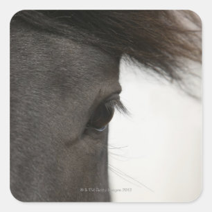 Pegatina Cuadrada Cierre de ojos y pelo de caballo