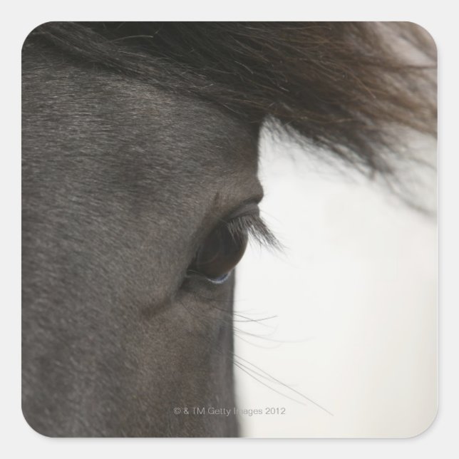 Pegatina Cuadrada Cierre de ojos y pelo de caballo (Anverso)