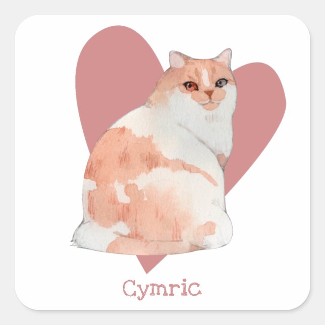 Pegatina Cuadrada Címico Gato Acuarela Kitty Corazón Rosa (Anverso)