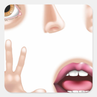 Pegatina Cuadrada Cinco piezas de cuerpo de los sentidos