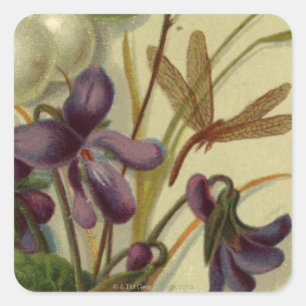 Pegatina Cuadrada Circa 1881: Bayas de nieve y violetas