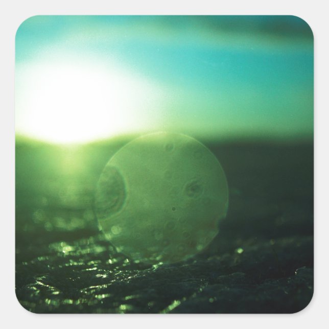 Pegatina Cuadrada Circle in Square - medium format analog Hasselblad (Anverso)