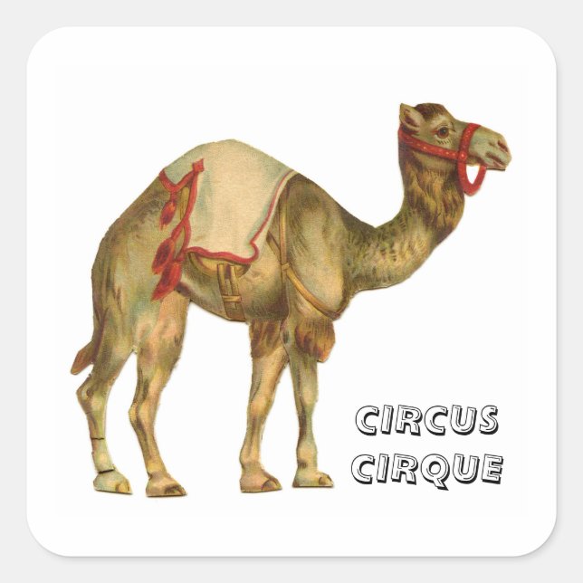 Pegatina Cuadrada Circo vintage en camello (Anverso)