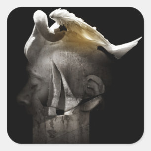 Pegatina Cuadrada Cisne 2013