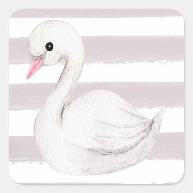 Pegatina Cuadrada Cisne blanco elegante guión banda púrpura (Anverso)