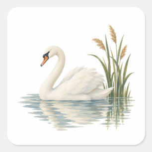 Pegatina Cuadrada Cisne entre juncos de estanque