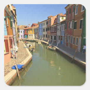 Pegatina Cuadrada Cisnes en canal, isla de Burano, Venecia, Italia