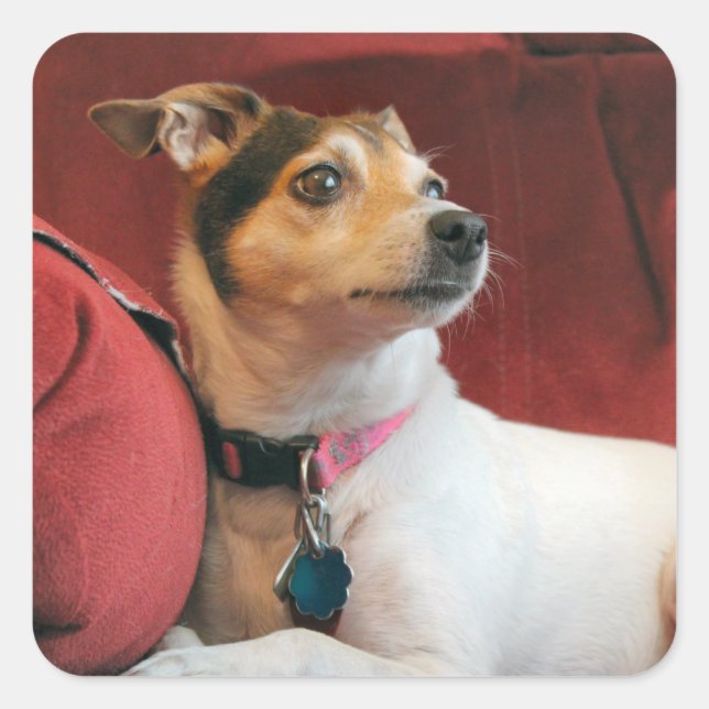 Pegatina Cuadrada Clásico (Anverso)