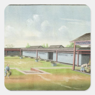 Pegatina Cuadrada Clasificando las pequeñas hojas para secarse (w/c