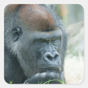 Pegatina Cuadrada Cloth Placemat