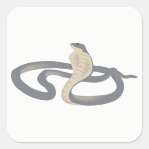 Pegatina Cuadrada Cobra