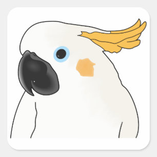 Pegatina Cuadrada Cockatoo Bust