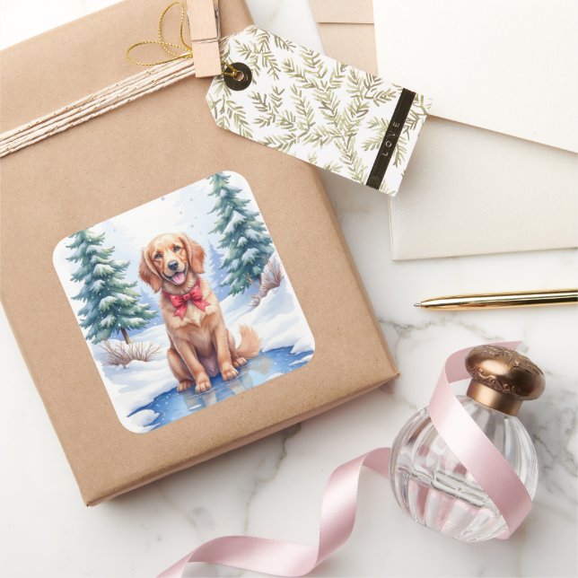 Pegatina Cuadrada Cocker Spaniel Americano de Agua Estanque Congelad (Regalar)
