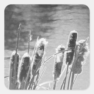 Pegatina Cuadrada Cócteles por el estanque en blanco y negro