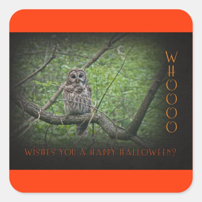 Pegatina Cuadrada Colas de Halloween - Lechuza Barred (Anverso)