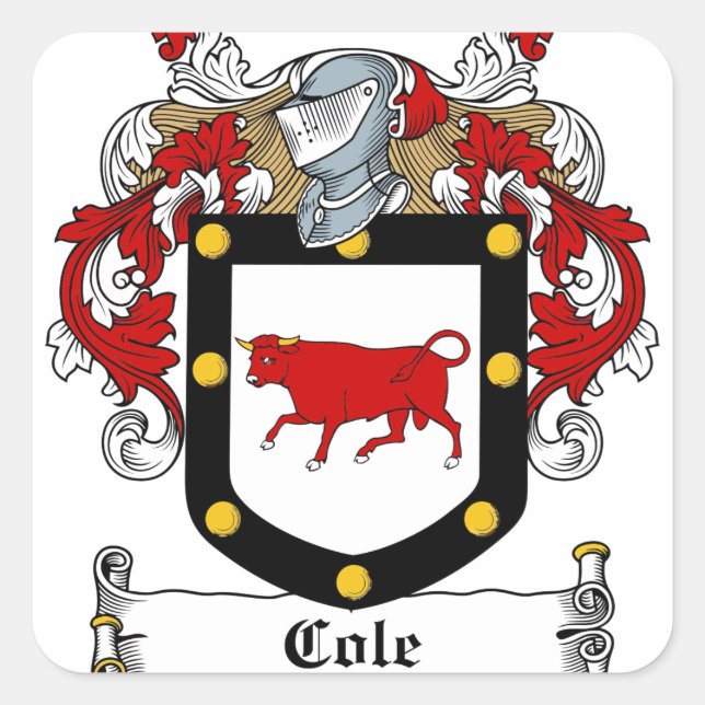 Pegatina Cuadrada Cole-Irish-Escudo (Anverso)