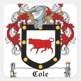 Pegatina Cuadrada Cole-Irish-Escudo