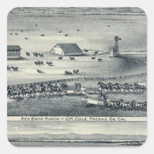 Pegatina Cuadrada Cole Ranches