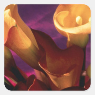 Pegatina Cuadrada Colección Calla Lilies