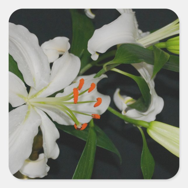 Pegatina Cuadrada Colección irlandesa de Brass y Flores (Anverso)