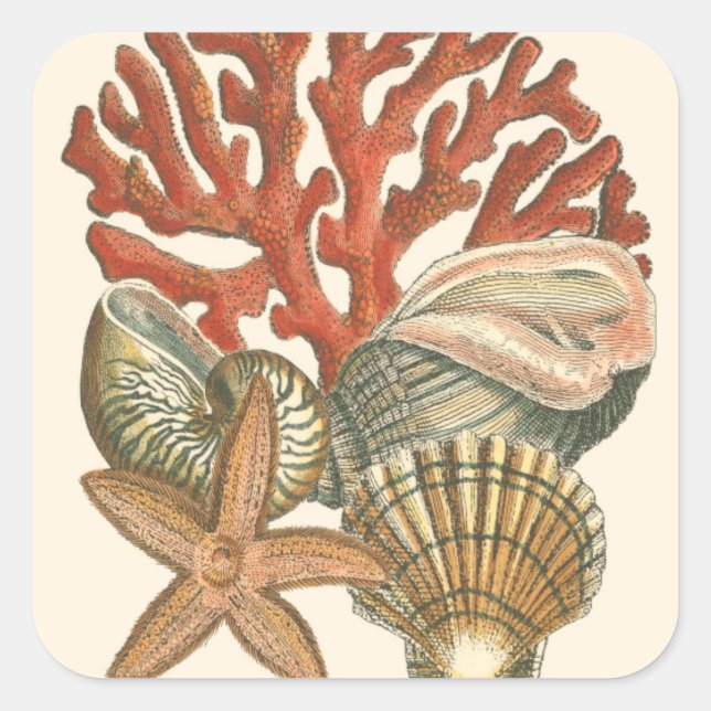 Pegatina Cuadrada Colección Sealife (Anverso)