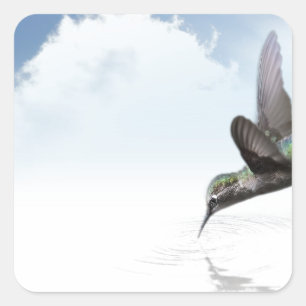 Pegatina Cuadrada Colibrí