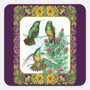 Pegatina Cuadrada Colibríes y Flores #1
