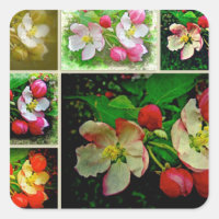 Collage de Apple Blossom - Foto digital mejorada