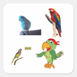 Pegatina Cuadrada Collage de pájaros coloridos con loro juguetón