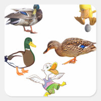 Collage de Pato Divertido con Personajes Juguetone