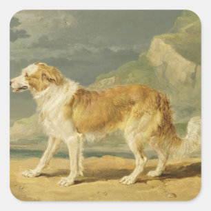 Pegatina Cuadrada collie Áspero-revestido, 1809 (aceite a bordo)