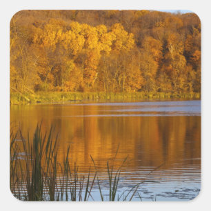 Pegatina Cuadrada Colores de otoño en el Parque Estatal Maplewood ce