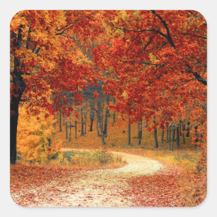 Pegatina Cuadrada Colores estacionales de otoño
