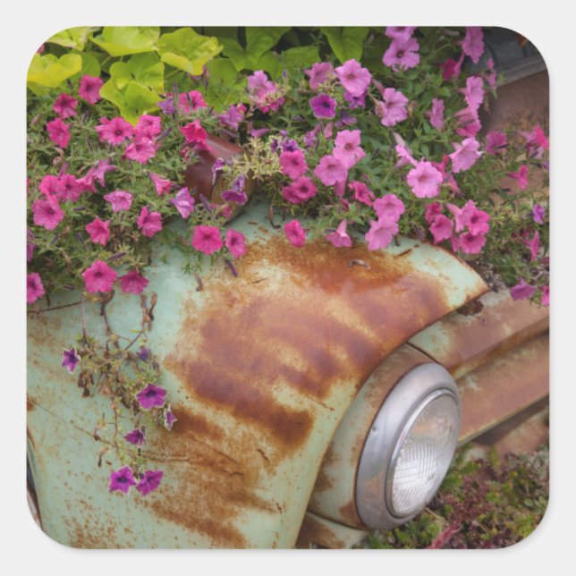 Pegatina Cuadrada Columbia Falls (Anverso)