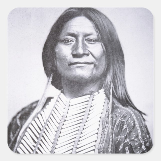 Pegatina Cuadrada Comanche Tribesman, 1872 (foto de abajo) (Anverso)
