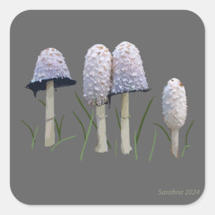 Pegatina Cuadrada Comatus Shaggy Mane Coprinus