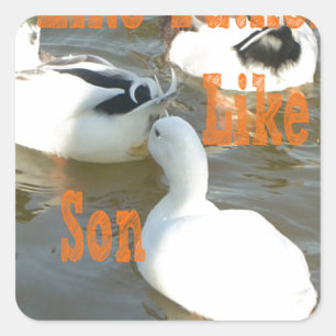 Pegatina Cuadrada Como Padre Como Hijo.