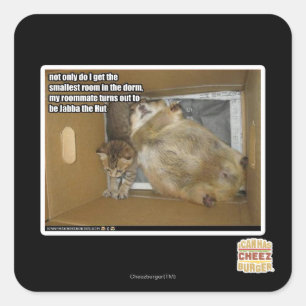 Pegatina Cuadrada Compañero de cuarto gordo