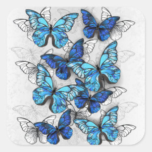 Pegatina Cuadrada Composición de las mariposas blancas y azules