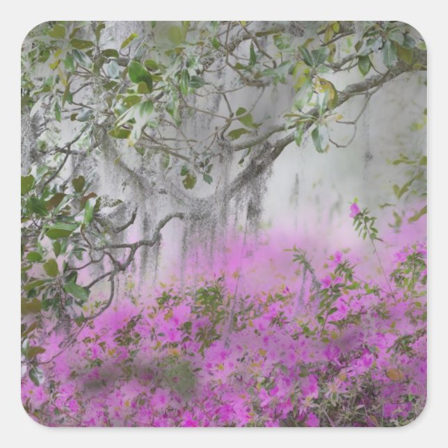 Pegatina Cuadrada Composición digital del árbol de Azaleas y magnoli (Anverso)