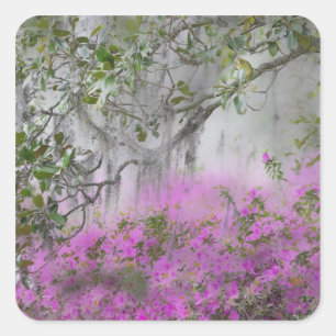 Pegatina Cuadrada Compuesto digital de azaleas y árbol de magnolia