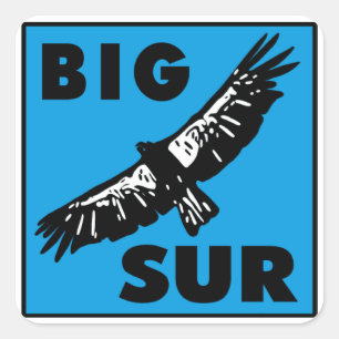 Pegatina Cuadrada Cóndor azul