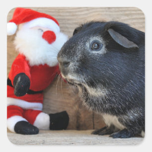 Pegatina Cuadrada Conejillo de Indias y Papá Noel lindos del zorro