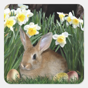 Pegatina Cuadrada Conejo de Pascua