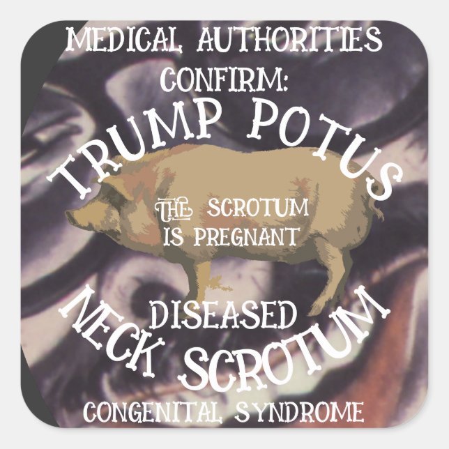 PEGATINA CUADRADA CONFIRMADO QUE EL ESCROTUM DE CUELLO DE TRUMP ESTÁ (Anverso)