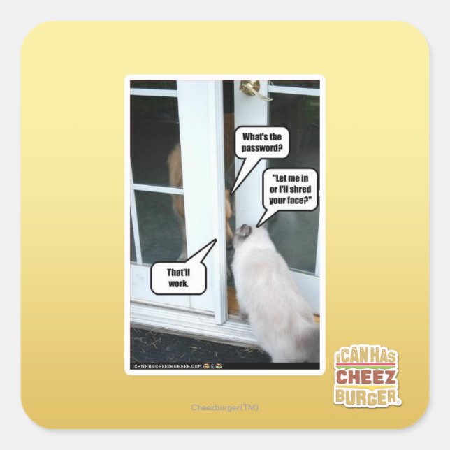 Pegatina Cuadrada Contraseña por favor (Anverso)